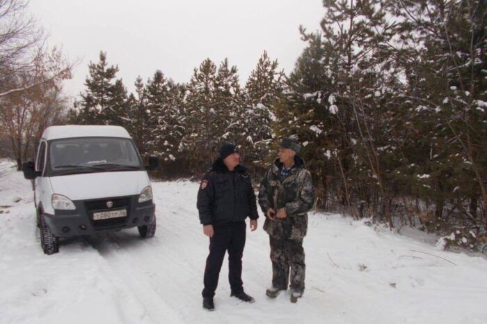 В Оренбуржье проводится межведомственная операция по сохранению хвойных деревьев
