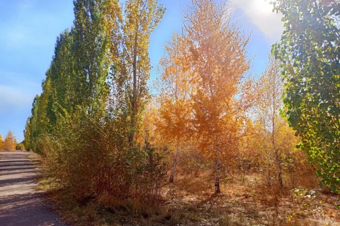 В Новоорском районе 8 ноября прогнозируют до 0 градусов, возможен слабый снег