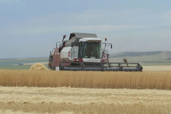 В 2026 году Оренбургская область усилит поддержку малого агробизнеса