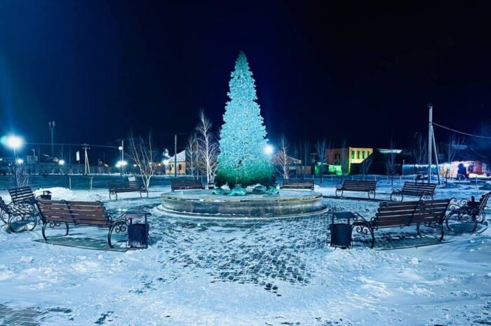 В Новоорском районе 17 декабря ожидается слабый снег, легкий ветер и до -11 градусов