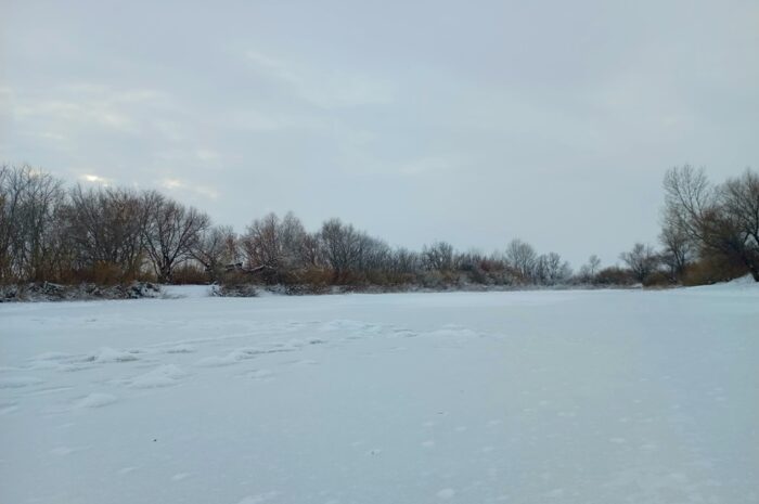 В Новоорском районе 19 января ожидается слабый ветер и до -11 градусов без осадков