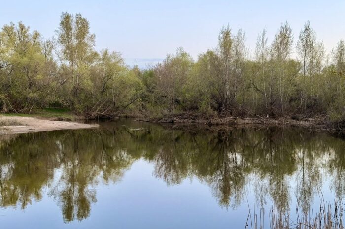 В Новоорском районе 28 апреля ожидается слабый дождь, свежий ветер и до +11 градусов