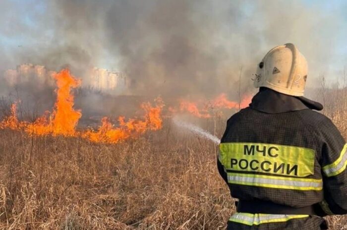 В Новоорском районе произошло пять ландшафтных пожаров