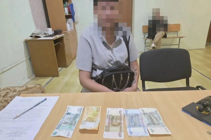 Жительница Новоорского района в поисках легкой наживы совершила грабеж
