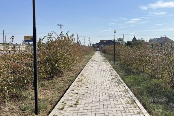 В Новоорском районе 16 августа ожидается свежий ветер и до +20 градусов без осадков