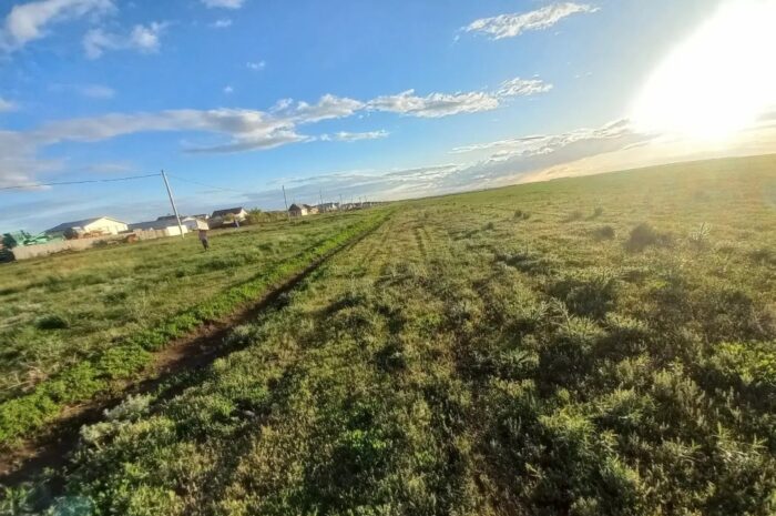 В Новоорском районе 1 августа ожидается слабый ветер и до +26 градусов