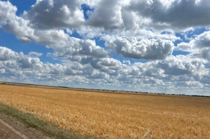 В Новоорском районе 30 августа ожидается слабый ветер и до +18 градусов