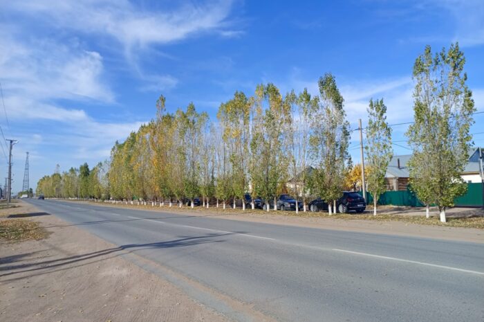 В Новоорском районе 21 октября ожидается слабый ветер и до +16 градусов без осадков