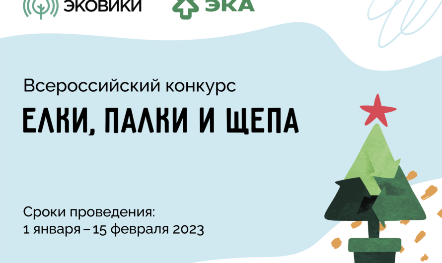 Эксперты рассказали, как оренбуржцам организовать экологичную переработку новогодних елок