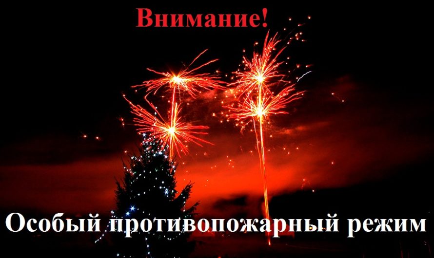 На период новогодних праздников в Оренбуржье введен особый противопожарный режим