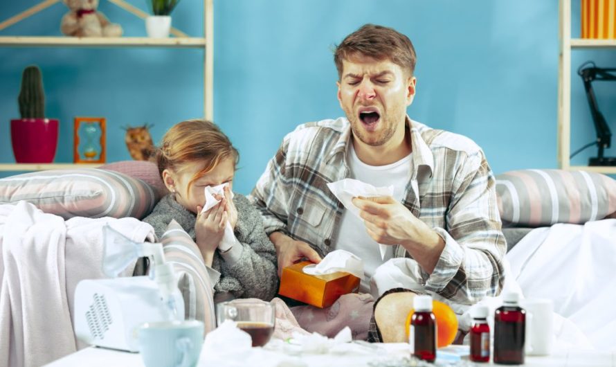 Как не заболеть на новогодних каникулах: правда и мифы о профилактике и лечении гриппа