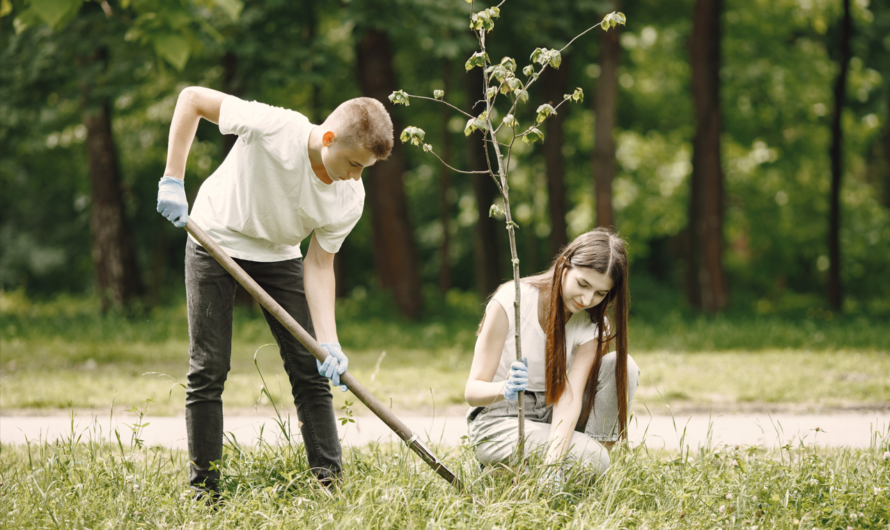 Среди школ Оренбуржья выберут лидеров по реализации экологических практик