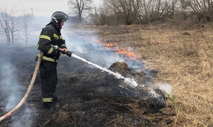В лесах Оренбуржья начался пожароопасный сезон