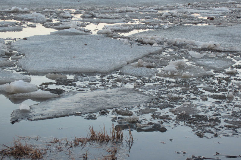В Шапошниково произошло подтопление моста через реку Таловку