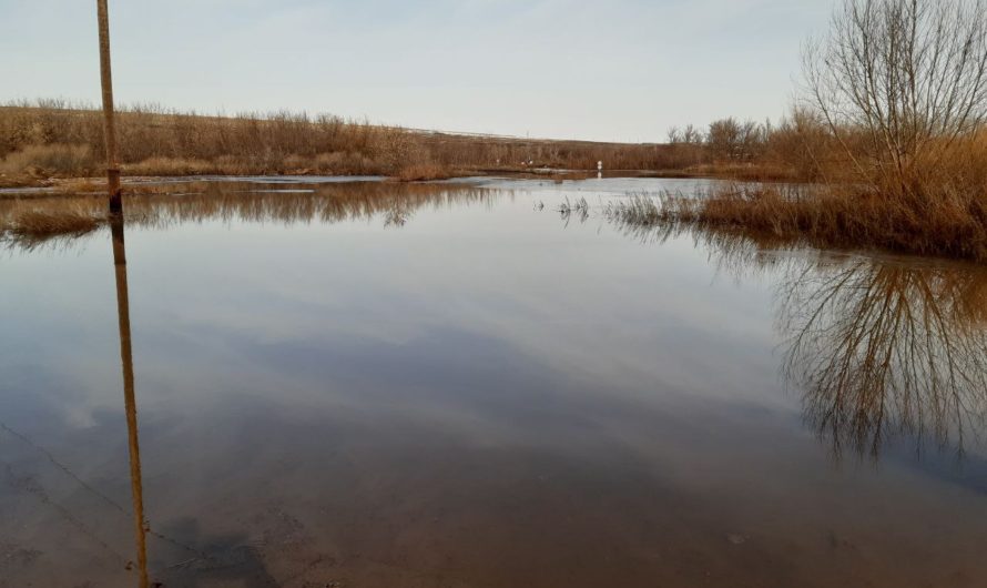 Обращение главы Первомайского района Александра Васильева к жителям поселка Лесопитомника и других подтопленных и отрезанных весенним паводком населенных пунктов