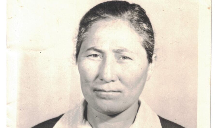 Трудности её не сломили