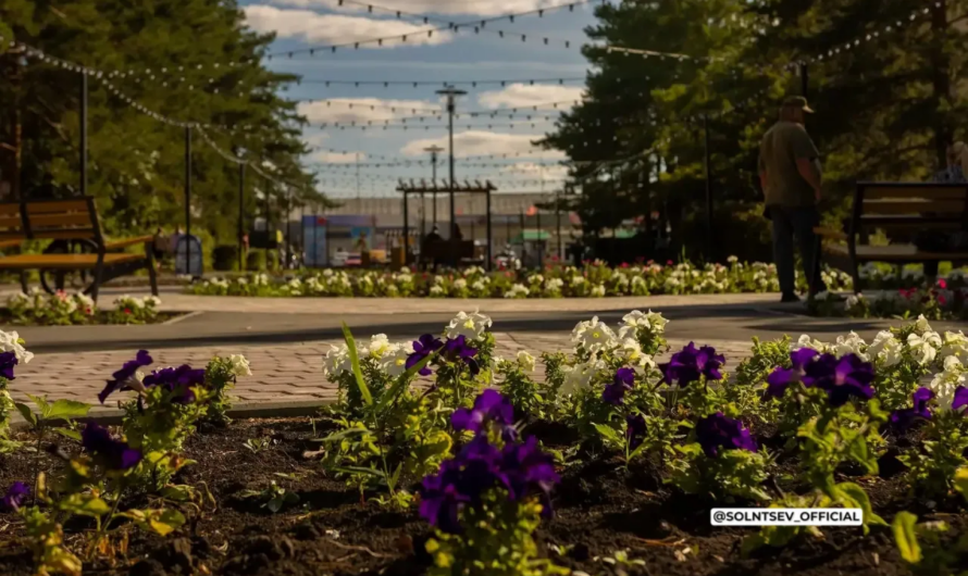 Оренбуржцы смогут проголосовать за благоустройство общественных территорий