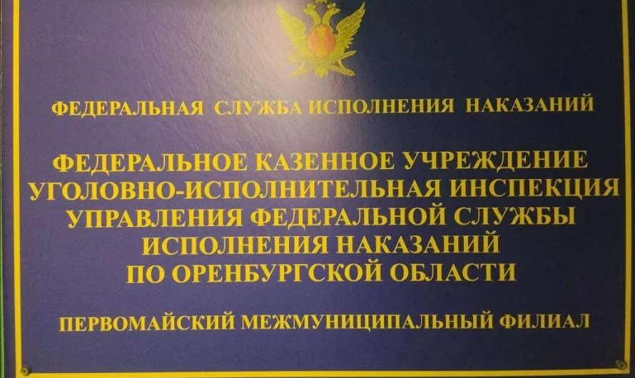 Федеральная служба наказаний предлагает воспользоваться сервисом о применении пробации на Госуслугах