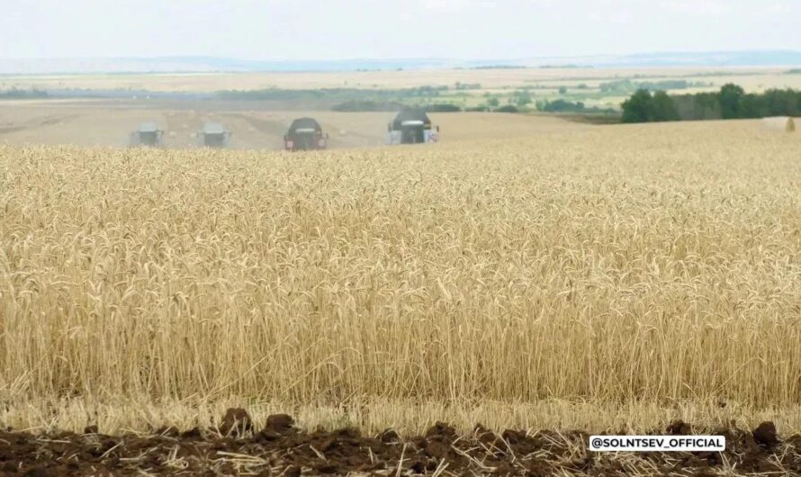Оренбургские аграрии собрали с полей более двух миллионов тонн зерна