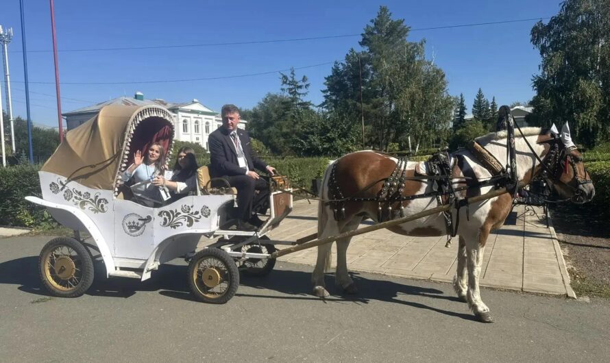 В Первомайском районе к голосующим на дому члены избирательной комиссии приезжали в карете