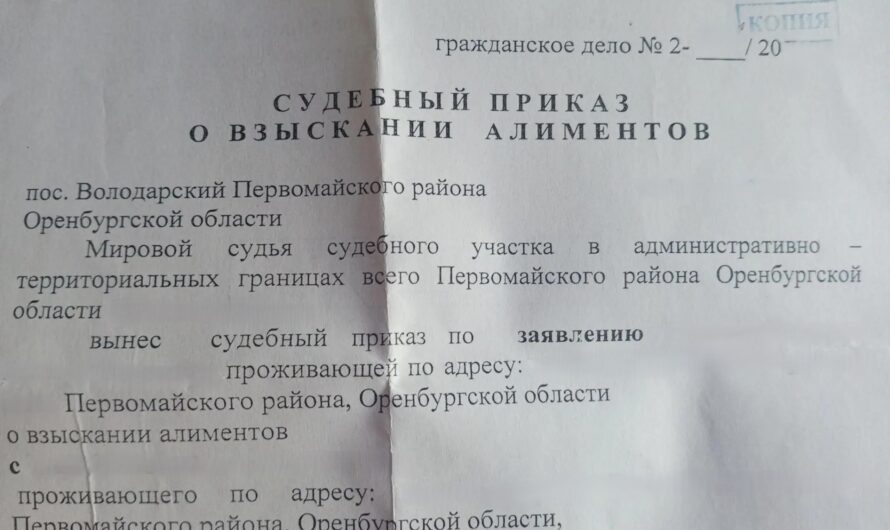 Житель Первомайского района наказан за неуплату алиментов на содержание несовершеннолетних детей