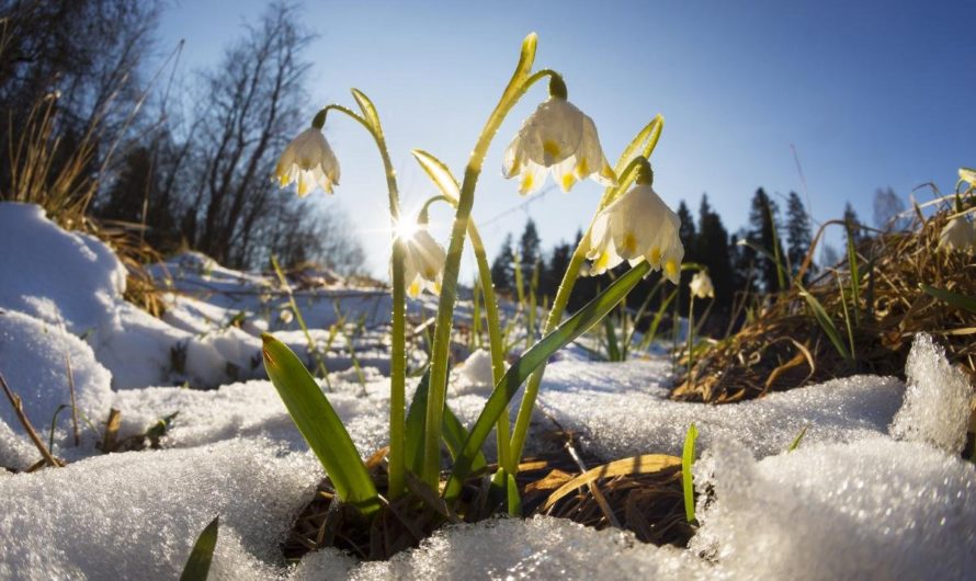 На территории Асекеевского района погода в марте оказалась по-весеннему теплой