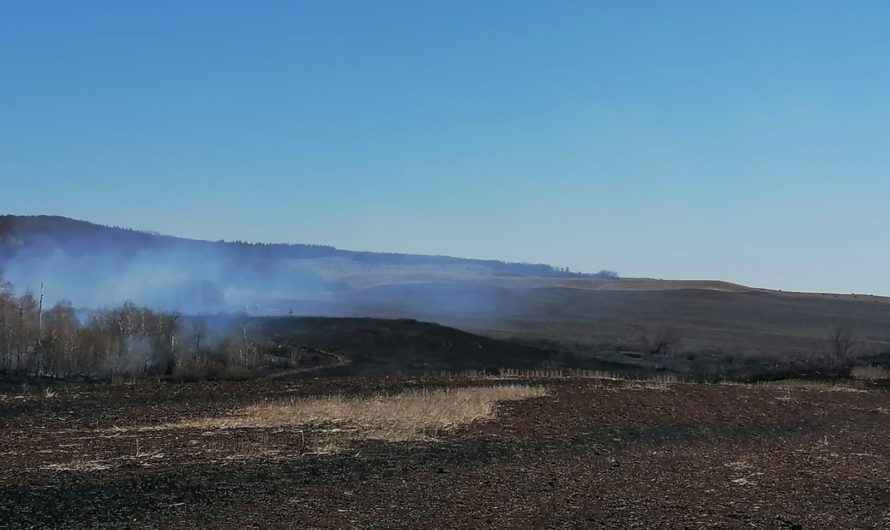 В минувшие выходные на территории Асекеевского района горели трава и сельскохозяйственная техника