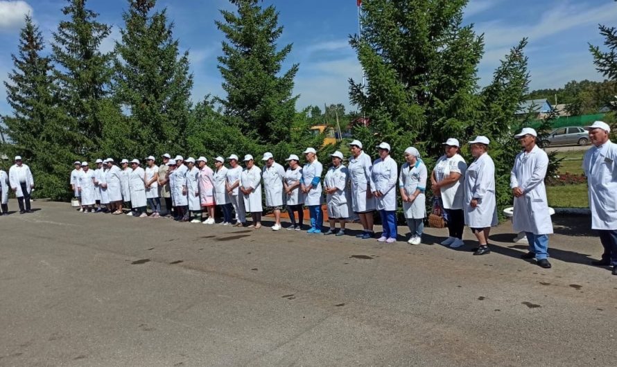 В Асекеевском районе прошел областной конкурс профессионального мастерства операторов машинного доения коров