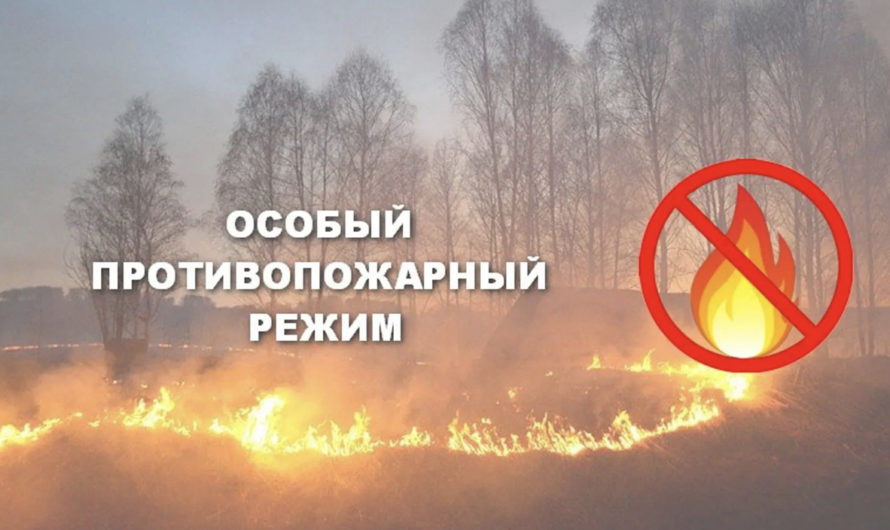 Жителям Асекеевского района напоминают о действии особого противопожарного режима