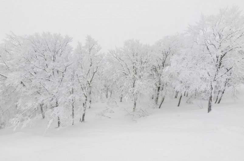 17 января в Асекеевском районе метель и – 7 °C…- 12 °C