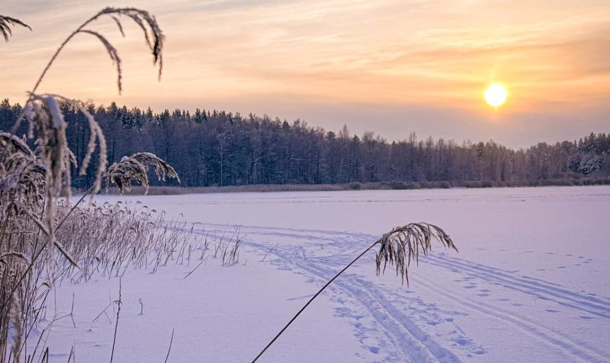 9 января в Асекеевском районе местами слабый снег и -17°C…-25°C
