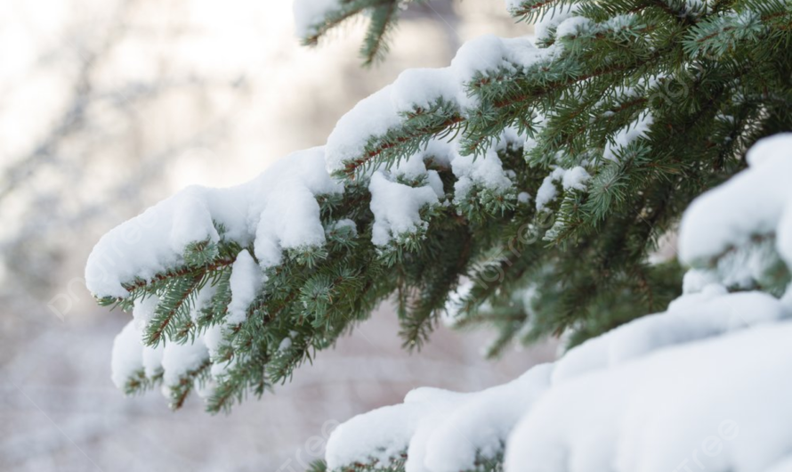 15 января в Асекеевском районе ожидается слабый снег и -12°C…- 14 °C