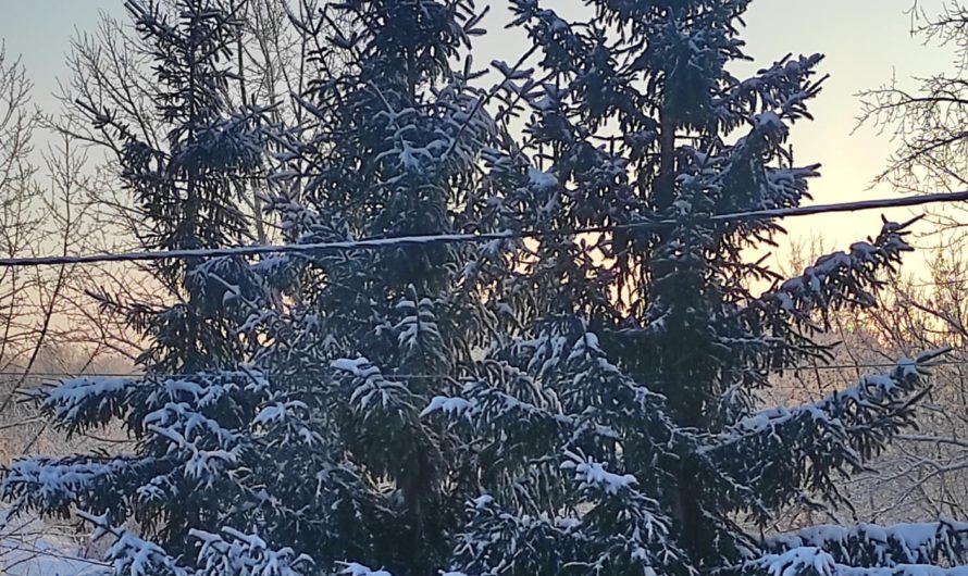 11 января в Асекеевском районе морозно, утром местами было до – 40°C