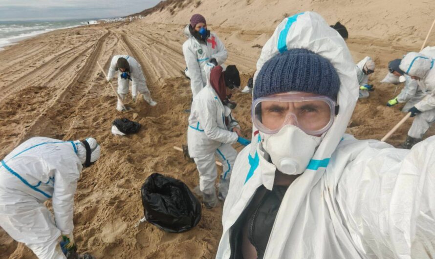 Оренбуржцы помогают в ликвидации разлива мазута на побережье Чёрного моря