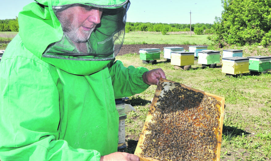 Хорошее медовое подспорье