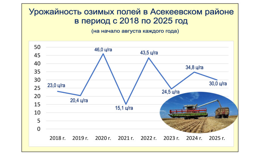 Щедр озимый колос