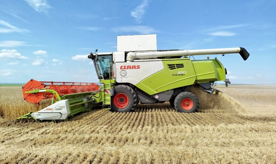 Полнятся зерном хлебные закрома