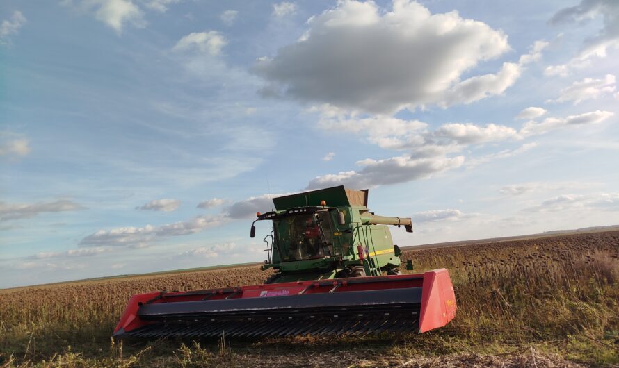 Жатва на финишной прямой