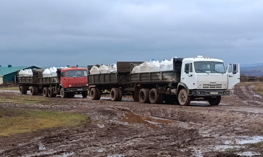 Удобрения для будущего урожая