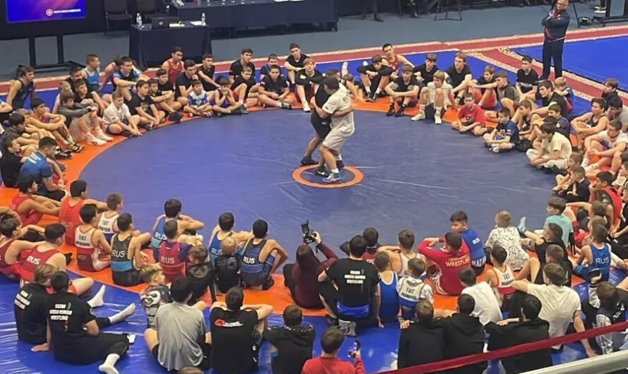 Золото за высокое мастерство