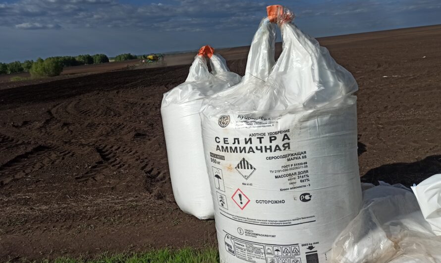 Для будущего урожая