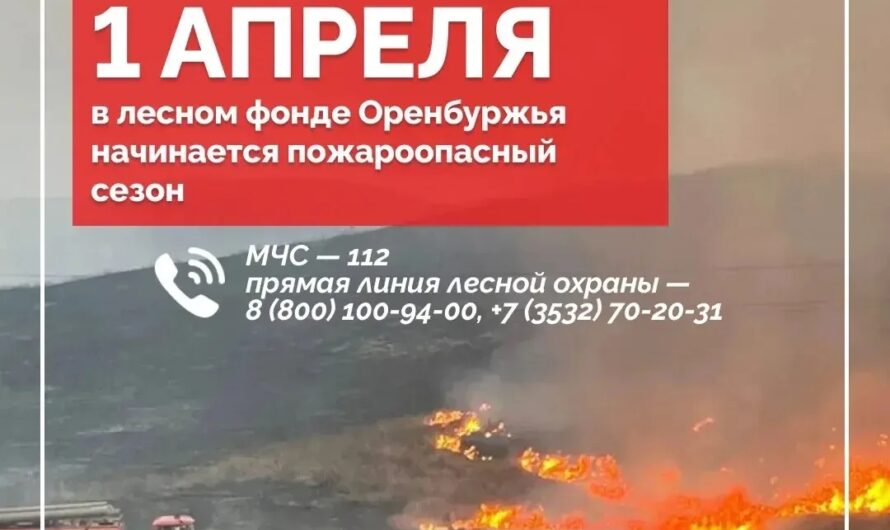 Евгений Солнцев проинформировал оренбуржцев о начале с 1 апреля пожароопасного сезона в регионе