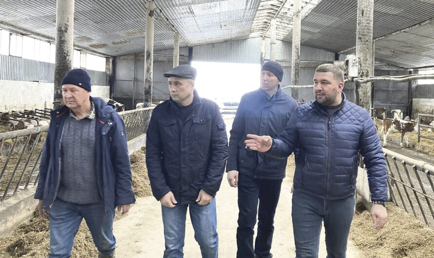 Оценили готовность