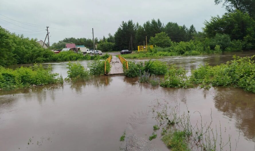 Дожди беду с собой принесли