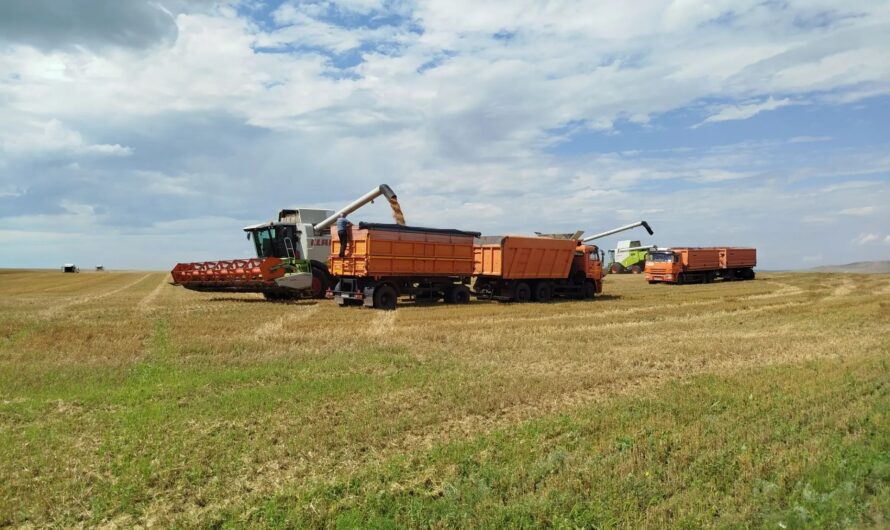 Реализовали продукции на 1,2 миллиарда рублей