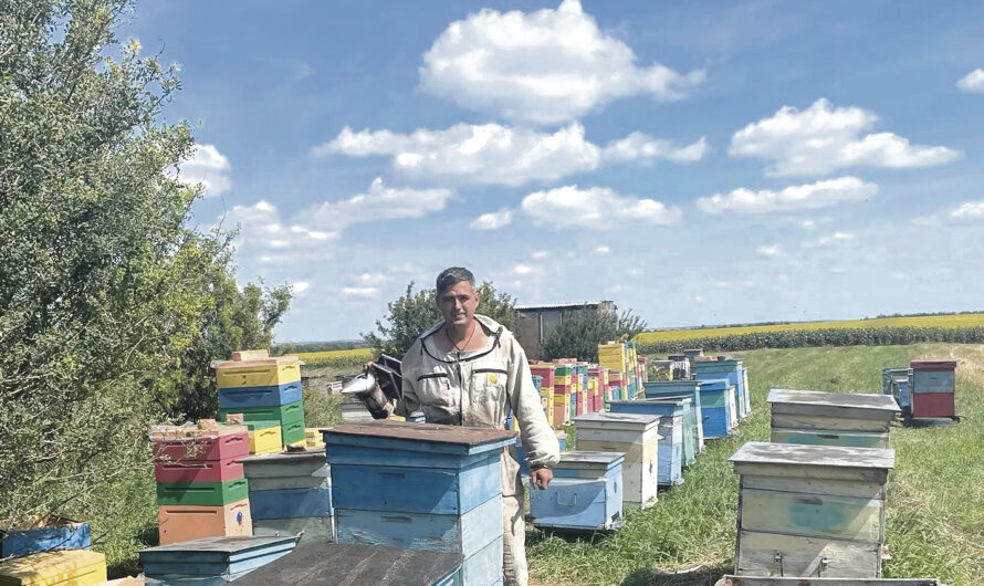 Золотой запас на пасеке