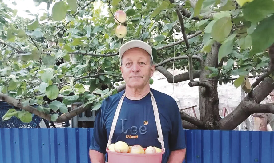 Дары сада за внимание и уход