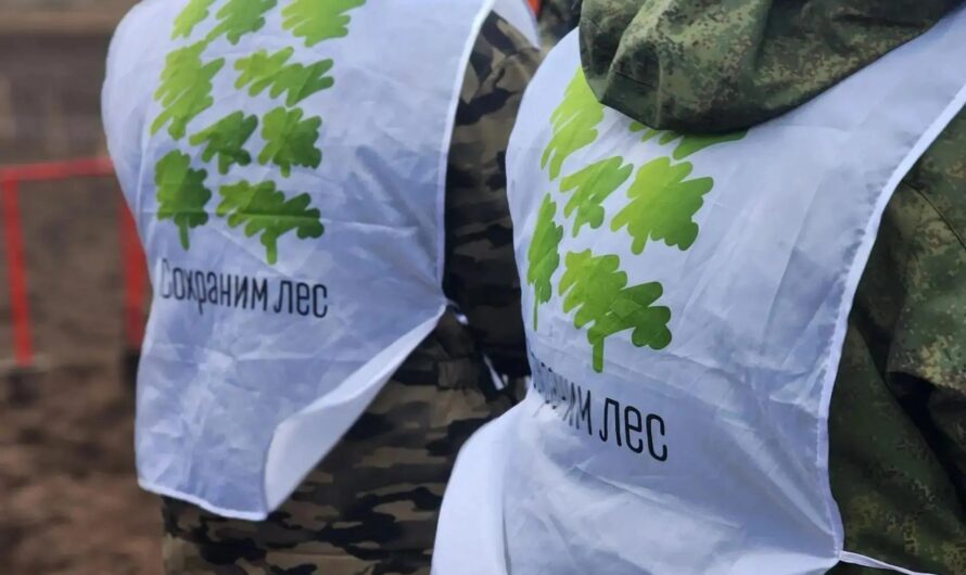 В Оренбуржье стартовала акция «Сохраним лес»