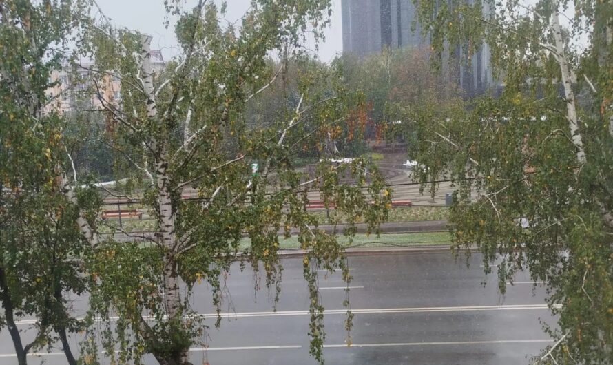 Сентябрь сулит мягкую зиму