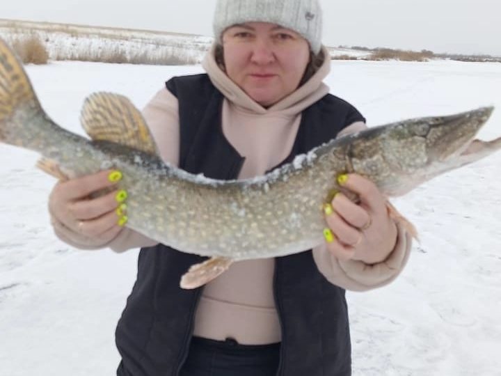 Одно на двоих хобби в Бузулукском районе